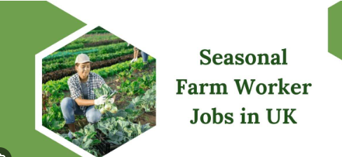 Agriculture Seasonal Work Visa in UK for Foreigners 2025